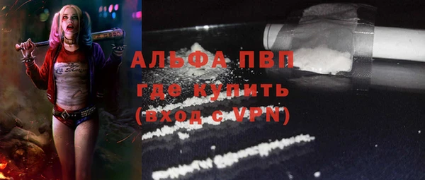 спиды Медвежьегорск