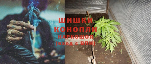 спиды Медвежьегорск