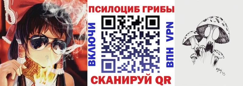 мега ссылки  Псков  Галлюциногенные грибы Magic Shrooms 