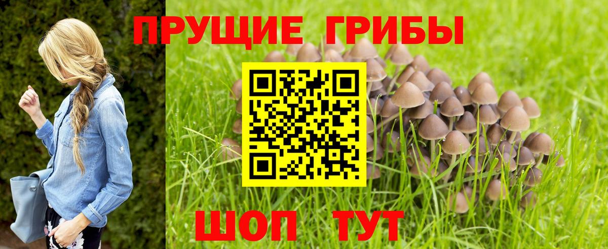 что такое наркотик  Вход с VPN  Псков  Галлюциногенные грибы GOLDEN TEACHER 