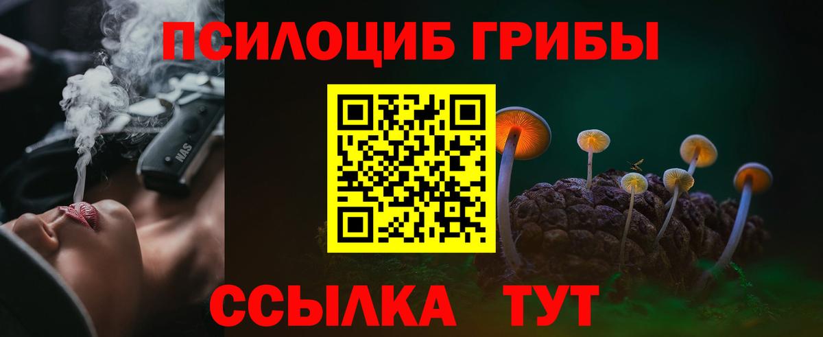 Псилоцибиновые грибы MAGIC MUSHROOMS Псков